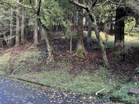 【外観】 | 東急天城高原別荘地　売地