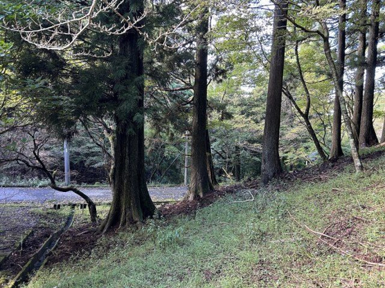 【外観】 | 東急天城高原別荘地　売地