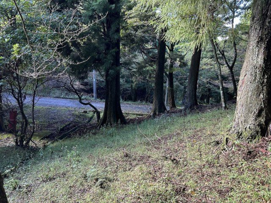 【外観】 | 東急天城高原別荘地　売地