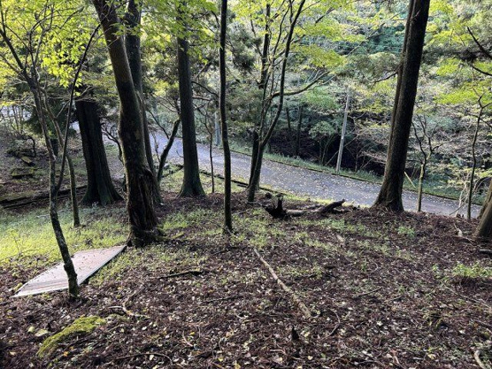 【外観】 | 東急天城高原別荘地　売地