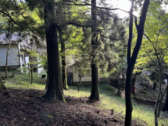 【外観】 | 東急天城高原別荘地　売地