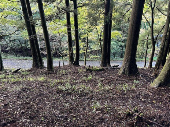 【外観】 | 東急天城高原別荘地　売地