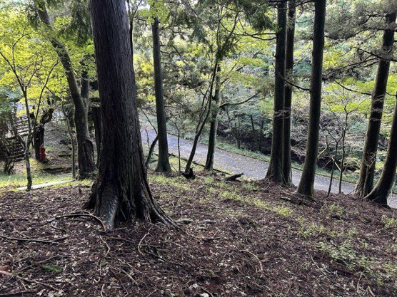 【外観】 | 東急天城高原別荘地　売地