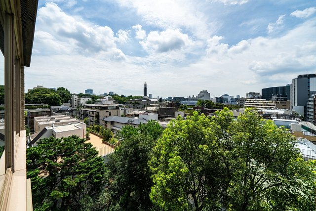 ザ・ハウス南麻布の展望