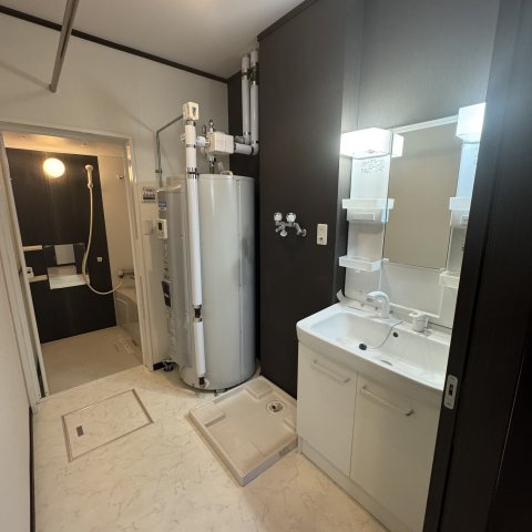 ベルン桜木の洗面所