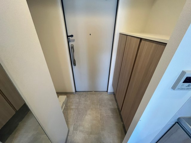 ワールドアイ大阪城EASTアドバンスの玄関|毎日通る玄関はこちらです