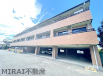 サンライズ・フジの画像