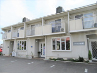 タウニィ・プチ・フォーレの画像