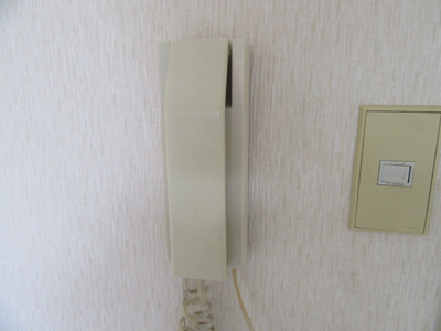 【セキュリティ】 | タウニィ・プチ・フォーレ | 現況優先