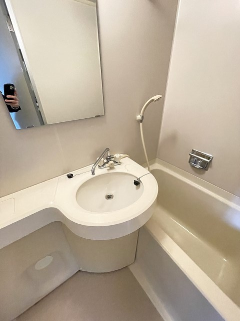 ステラハウス15の洗面所