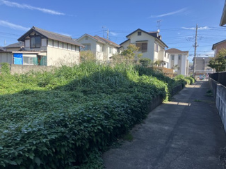 【前面道路含む現地写真】 | 守谷市百合ヶ丘二丁目　敷地面積４２０．３３㎡　売地