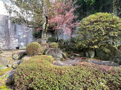 【庭】 | 安佐南区安東六丁目　戸建 | 広い庭