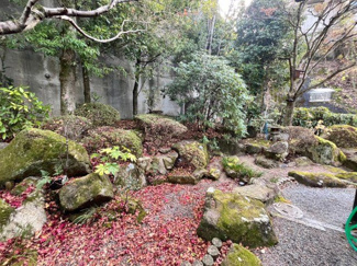 【庭】 | 安佐南区安東六丁目　戸建 | 季節の移ろいを楽しめます