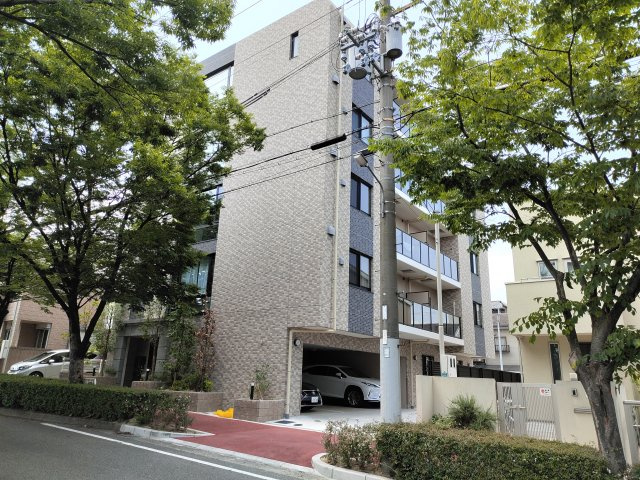 ゼルカヴァ芦屋