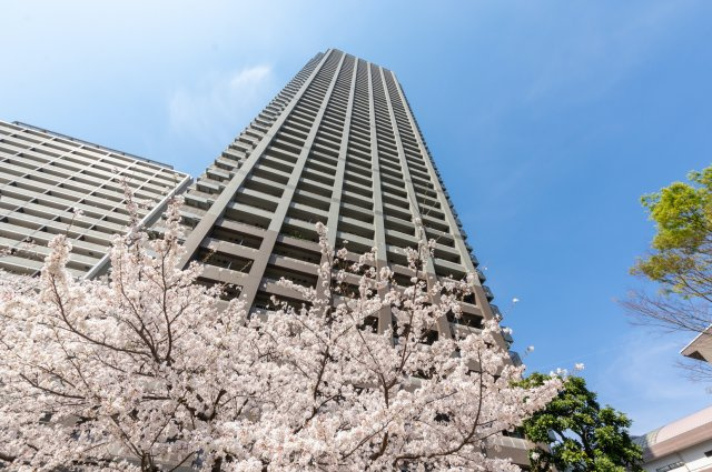 晴海アイランドトリトンスクエアビュータワーの外観