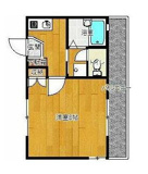 レグルスの画像