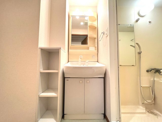 エイペックス松屋町ヴァンデュールの独立洗面台