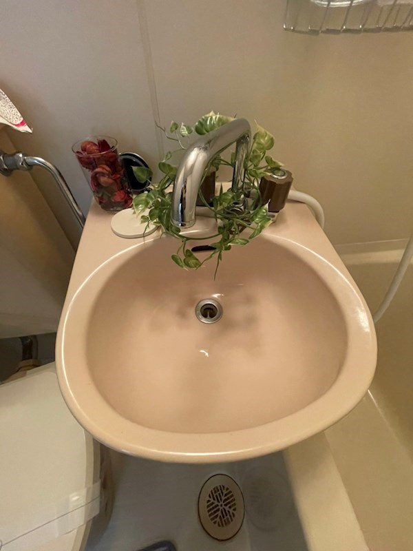 ハイツ中原通の洗面所