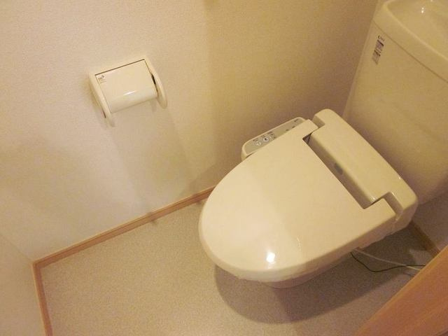 フランシーズコートDのトイレ|落ち着いたトイレです