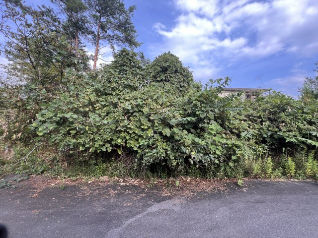 信楽町中野の前面道路含む現地写真