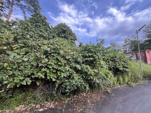 信楽町中野の外観
