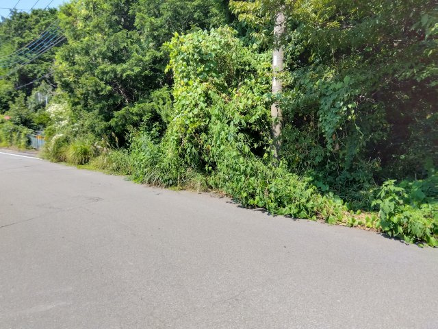 売土地　田方郡函南町平井