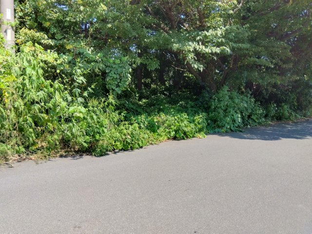 【外観】の画像