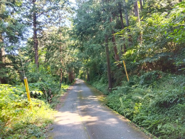 【前面道路含む現地写真】の画像
