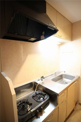 【キッチン】 | ボンジュール西九条 | コンパクトなキッチンで掃除もラクラク