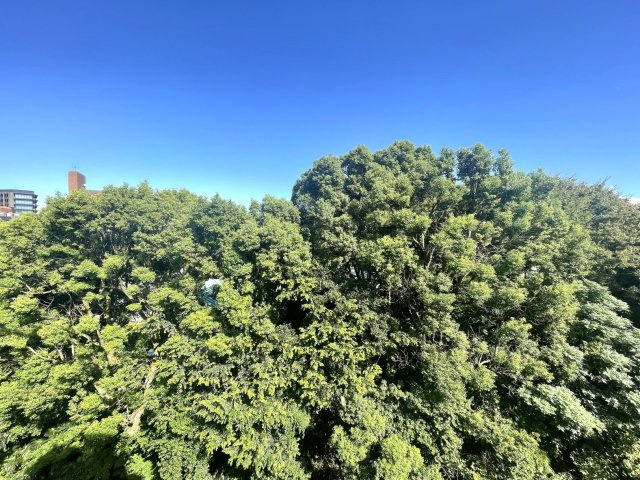 アピス一番町の展望