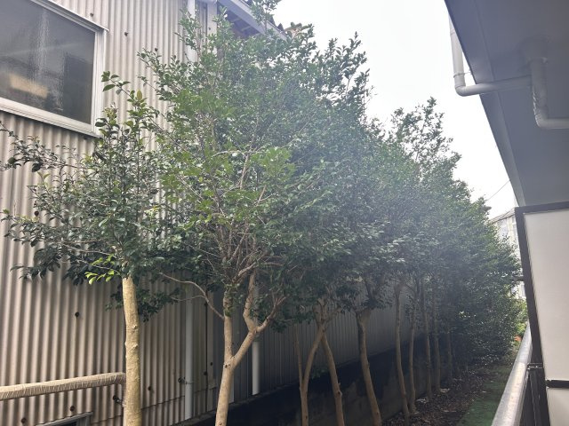 メゾンリヴレーヌの展望