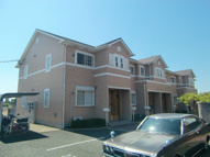 ティファニーの画像