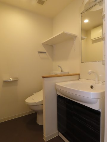 セオリー大阪フルールの洗面所