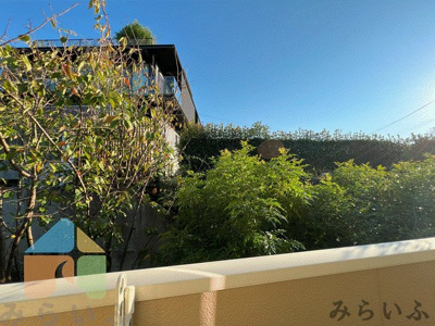 【展望】 | アジサイロードヒル