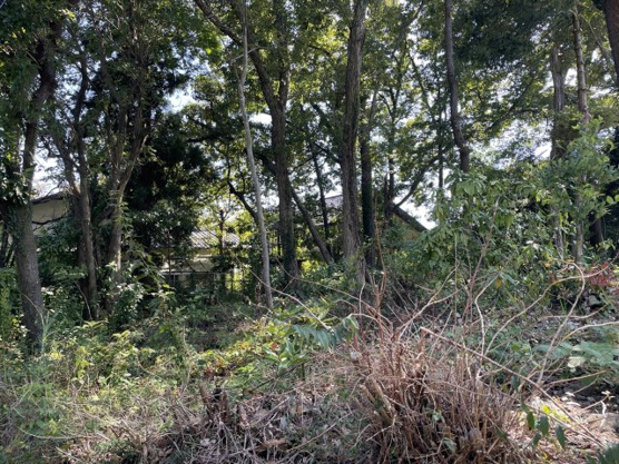 【外観】 | すいらん荘別荘地　売地