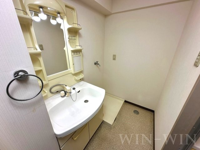 メゾン福谷 Ⅲの独立洗面台