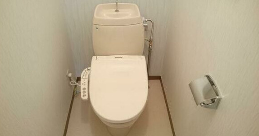 メイプルハイツⅡのトイレ
