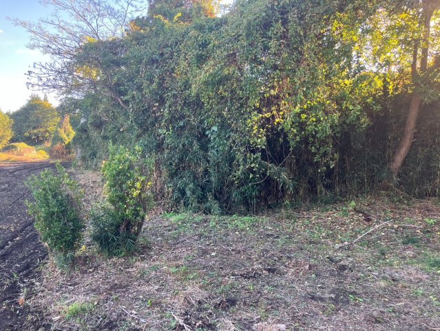 城里町北方売地2153,2154-1の外観