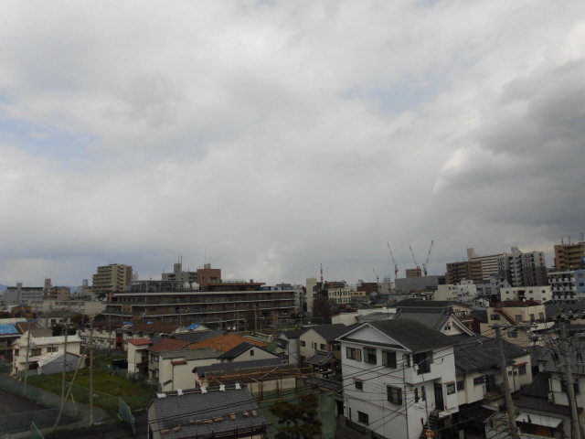 シンプルコート