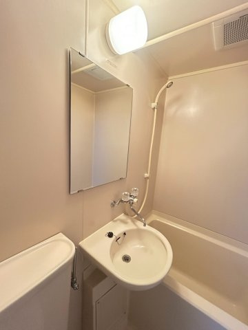 グリーンルーフ神若の洗面所