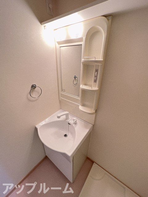 アムール2784の洗面所