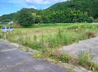 丹波篠山市真南条中　土地の画像