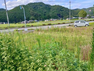 【外観】 | 丹波篠山市真南条中　土地