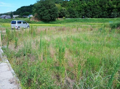 【外観】 | 丹波篠山市真南条中　土地