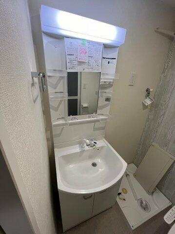 ハーモニーテラス北小岩ⅩⅥの洗面所