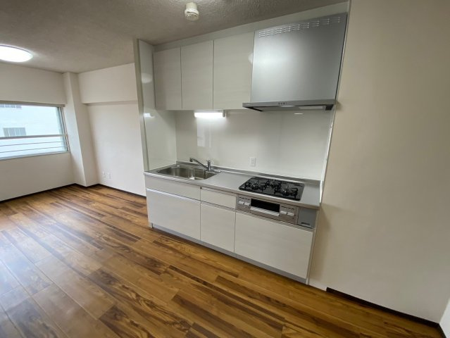 星ヶ丘アイリス北棟のキッチン|広々キッチンはふたりで料理をするのにも十分な広さです◎
