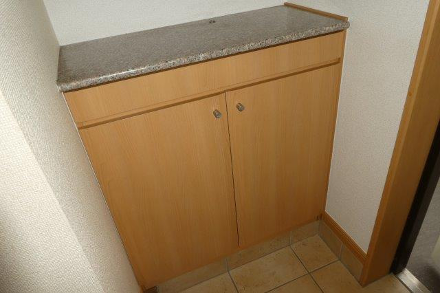 倉敷市八王寺町の賃貸マンションの内装|シューズボックス
