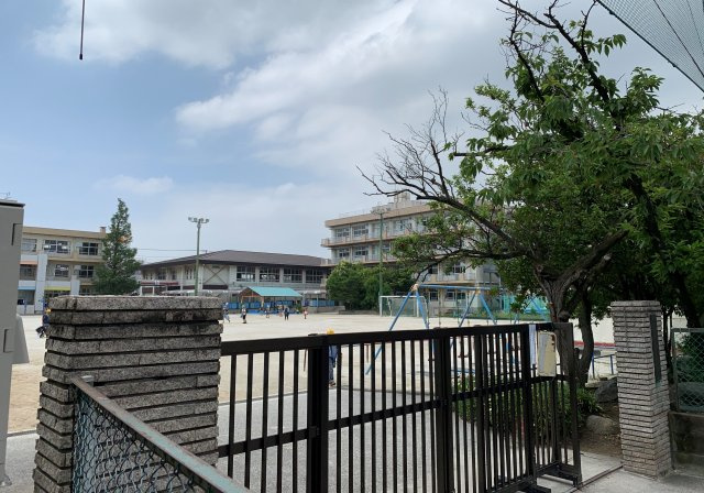 市川市鬼高2丁目新築戸建【鬼高小学校：3分】の周辺|鬼高小学校まで210ｍ