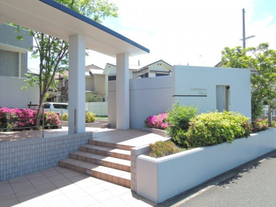 【エントランス】 | ルミナスベガ