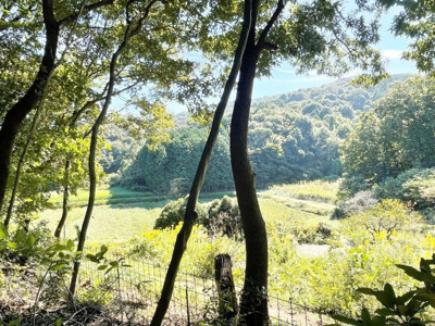 【外観】 | 桜川市犬田270坪売地